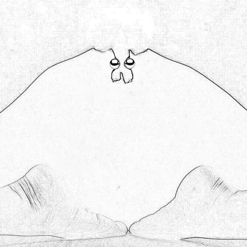 Nipple clip stimulator adult sex toy