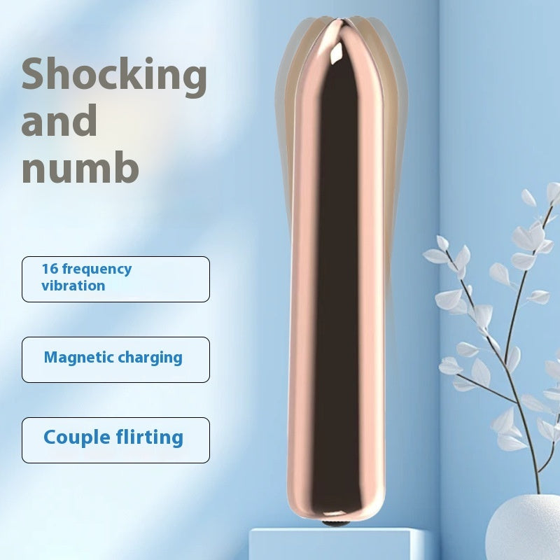 Bullet Fashion Vibrator Women's Toy